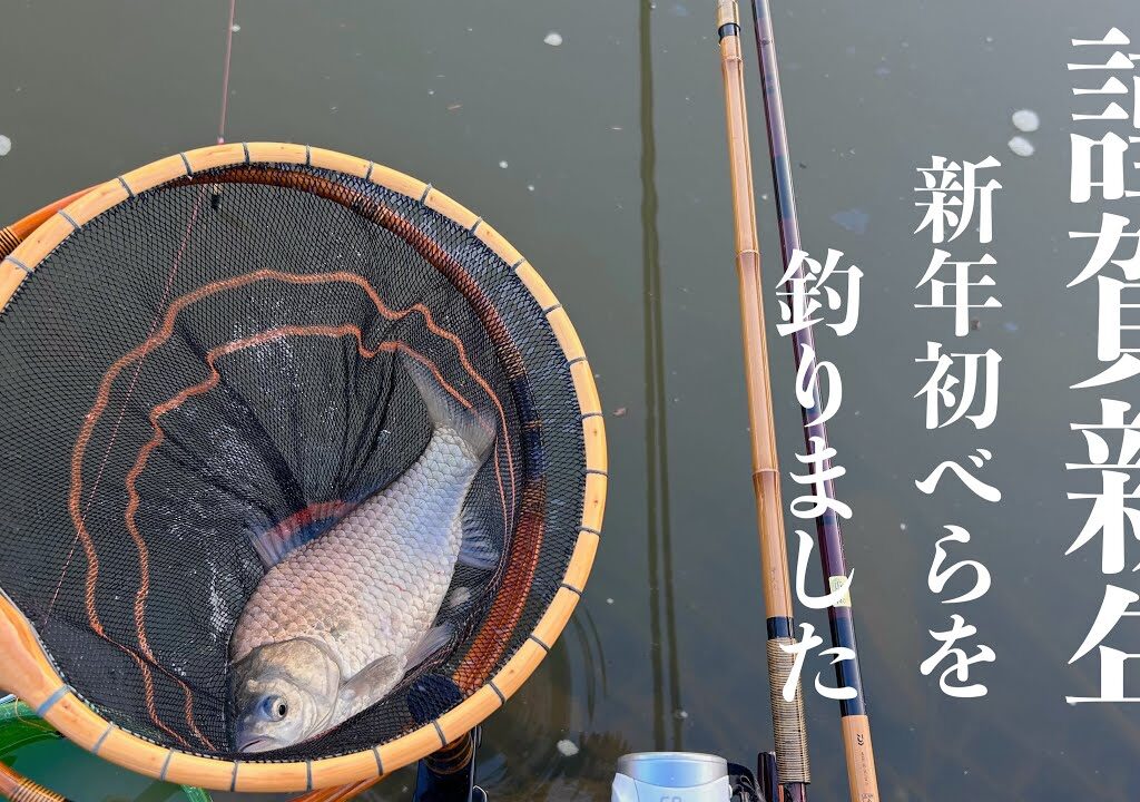 【ヘラブナ釣り】2024年初べら✨市野川