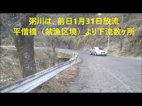 粥川・長良川新美並　那比川　アマゴ成魚放流場所下見　2024 1 28