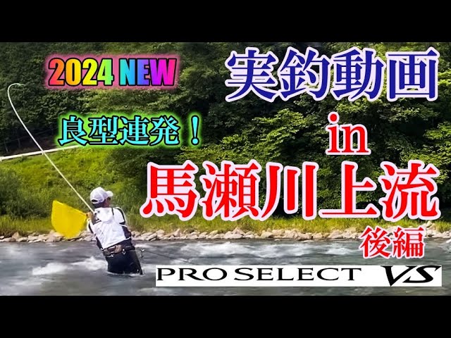 #72【良型連発で超興奮！】プロセレクトVS H90  in 馬瀬川上流　後編　★鮎入れ追い