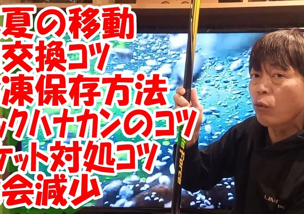 鮎釣り A-11 2024年1月16日 質問はこちらから https://youtu.be/8ZJzYVR2kQk