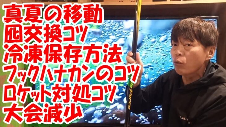 鮎釣り A-11 2024年1月16日 質問はこちらから https://youtu.be/8ZJzYVR2kQk