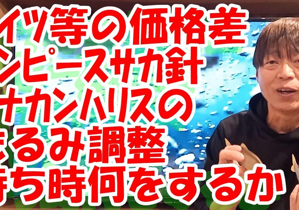 鮎釣り A-19 2024年1月25日 質問はこちらから https://youtu.be/8ZJzYVR2kQk