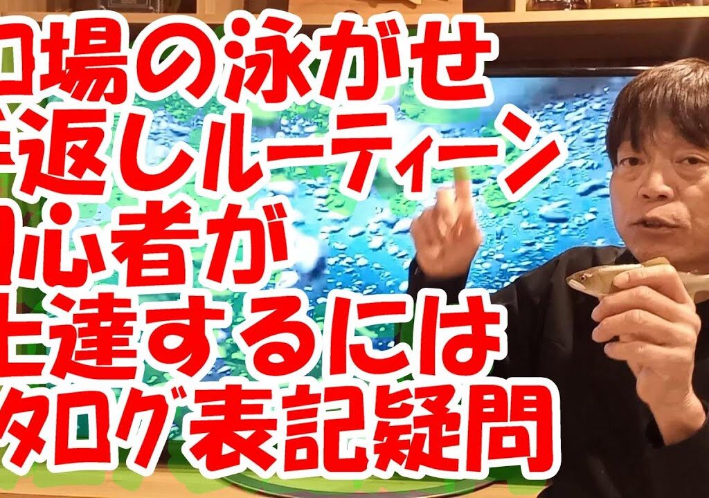 鮎釣り A-9 2024年1月13日 質問はこちらから https://youtu.be/8ZJzYVR2kQk