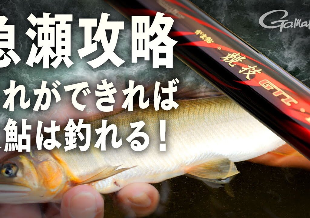 がま鮎 競技GTIⅡ引抜急瀬H ～繊細さと豪快さを両立・大鮎をブチ抜く粘りとパワー～