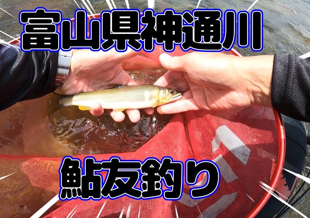 富山県の神通川de鮎釣り＃ダイワ＃グランドスラム＃鮎釣り＃車中泊＃道の駅＃キャンピングカー＃トイファクトリー