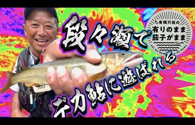 【鮎釣り】ゼロテントレースで壺を釣る