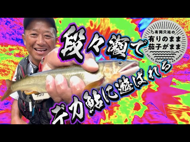 【鮎釣り】ゼロテントレースで壺を釣る