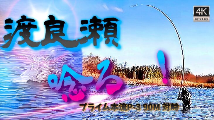 【頂上決戦❗】🆕ロッドで暴けるか‼️ヤバい引きの末に…攻防解説とリリアン穂先へのライン接続方法(栃木県渡良瀬川)
