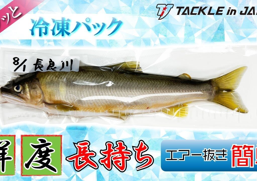 【鮎友釣り】簡単！密着！新鮮！ピタッと冷凍パック