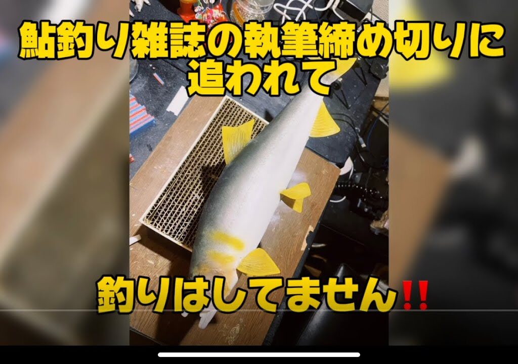 最近釣りには行ってません！鮎釣り雑誌の原稿執筆締め切りに追われているので〜#釣り#鮎釣り#ヘラブナ #へらぶな釣り #渡良瀬川 #虹鱒 #トラウト#サンライン #サンラインフィールドテスター