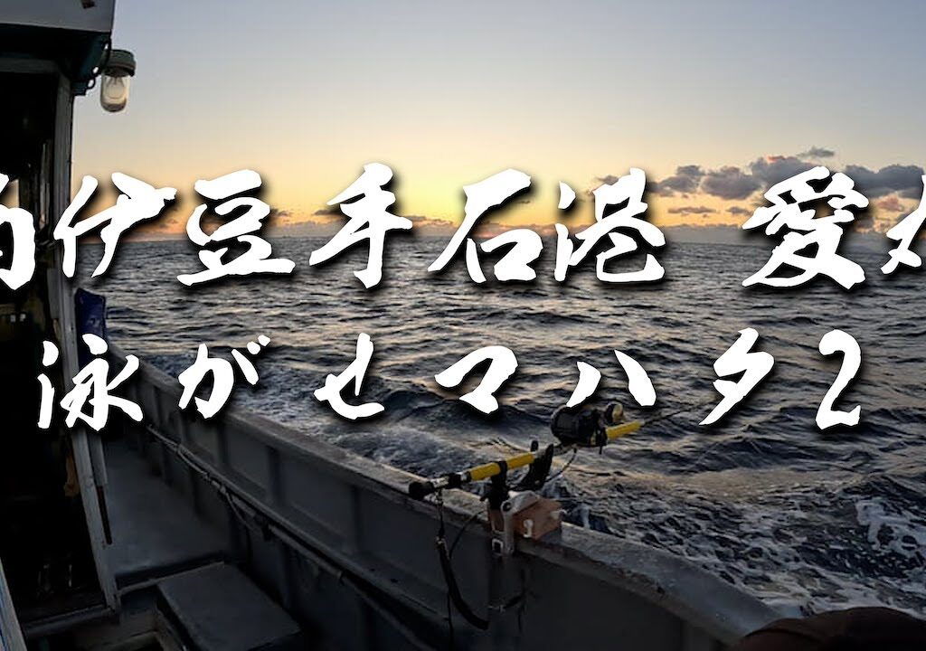 【泳がせマハタ２】＠南伊豆手石港 愛丸【朝日が綺麗】