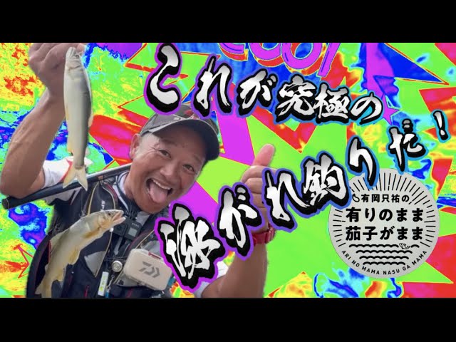 【鮎釣り】渇水。垢腐れの囮操作は難しい。