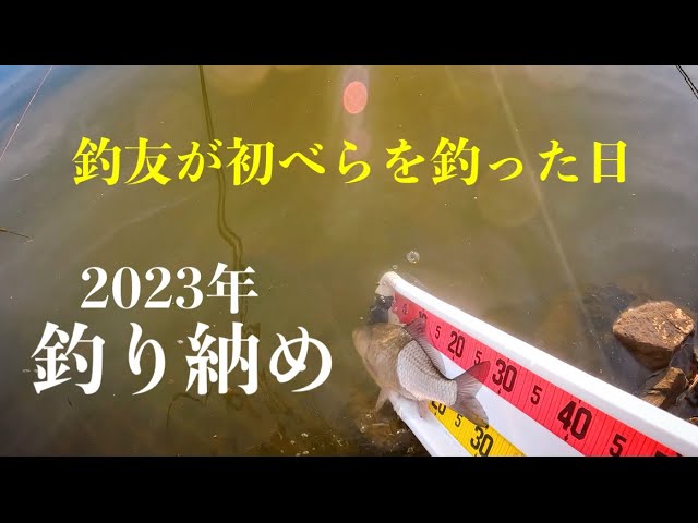 【ヘラブナ釣り】市野川で釣友が初べらを釣りました！