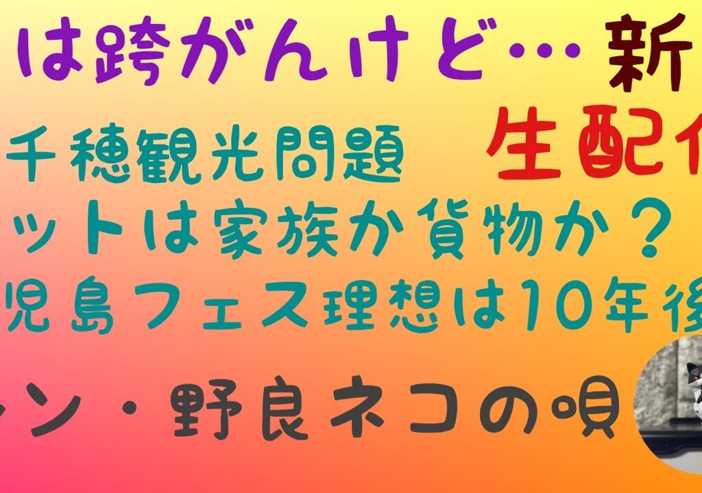 【雑談】日は跨がんけど生討論⁉️　概要欄見ると配信も盛り上がる？【生配信】