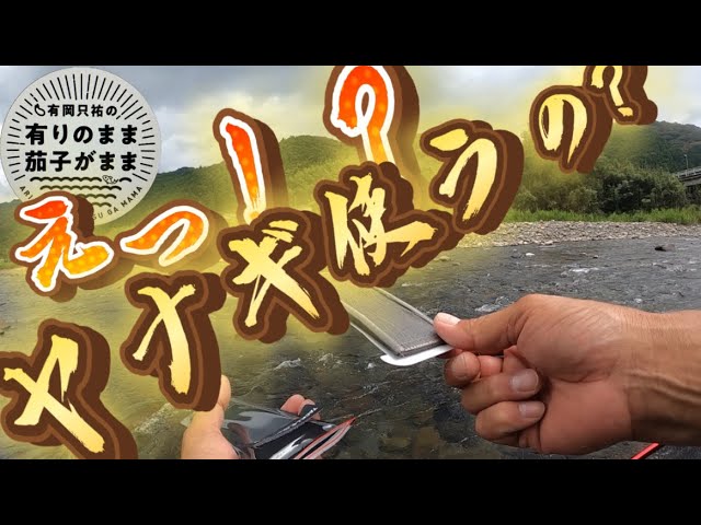 【鮎釣り】ダイワ鮎マスターズで2人が使っていたので試してみた