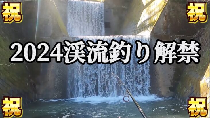 【2024渓流釣り解禁】今シーズン初釣行は言わずもがなだった‼︎
