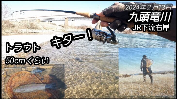 2024年2月13日九頭竜川JR下流右岸にてトラウト50cmくらい