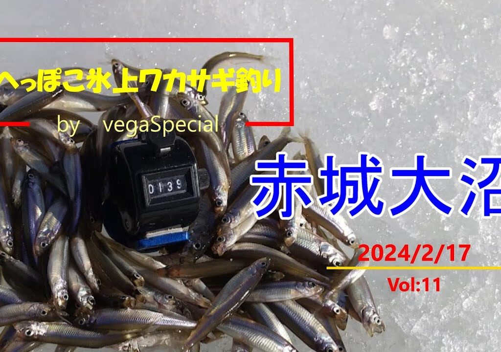 赤城大沼氷上ワカサギ釣り　2024/2/17　Vol:11