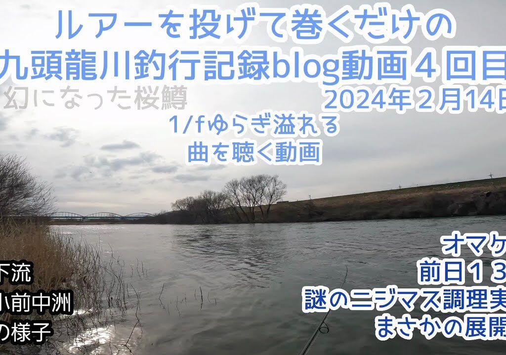 2024年２月１４日九頭竜川でただただルアーを投げて巻くだけのblog動画④【オマケでニジマスの謎】