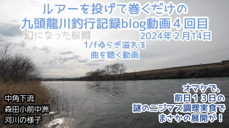 2024年２月１４日九頭竜川でただただルアーを投げて巻くだけのblog動画④【オマケでニジマスの謎】