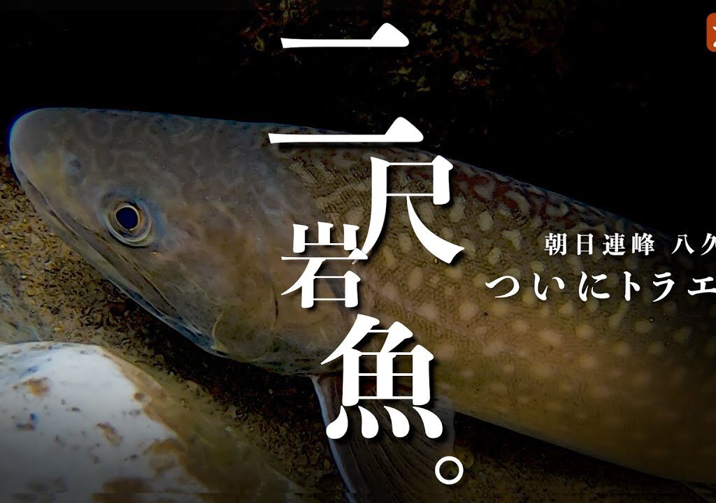 【渓流釣り】ついにとらえた！”２尺”イワナ／八久和川、国内最大級の源流へ～5日間の全記録。