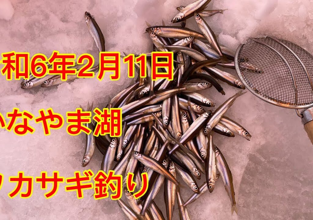 かなやま湖ワカサギ釣り。令和6年2月11日。