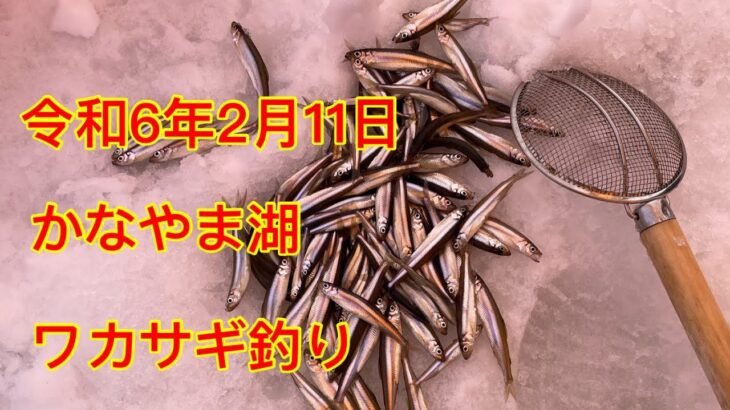 かなやま湖ワカサギ釣り。令和6年2月11日。
