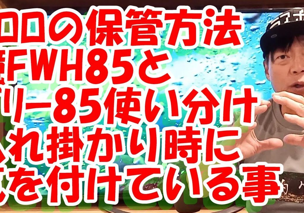 鮎釣り A-31 2024年2月8日 質問はこちらから https://youtu.be/8ZJzYVR2kQk