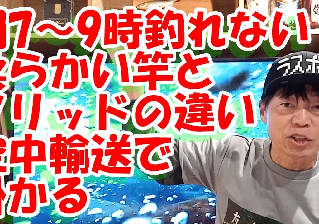 鮎釣り A-40 2024年2月21日 質問はこちらから https://youtu.be/8ZJzYVR2kQk