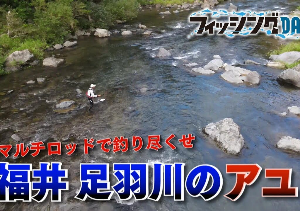 フィッシングDAYS「マルチロッドで釣り尽くせ　福井・足羽川のアユ」