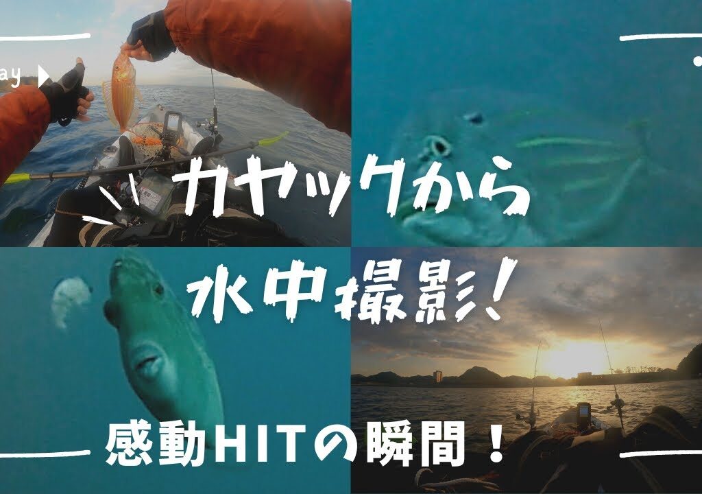 水中撮影×カヤックフィッシング：見逃せない感動、衝撃HITの瞬間！冬でも魚は沢山いた！