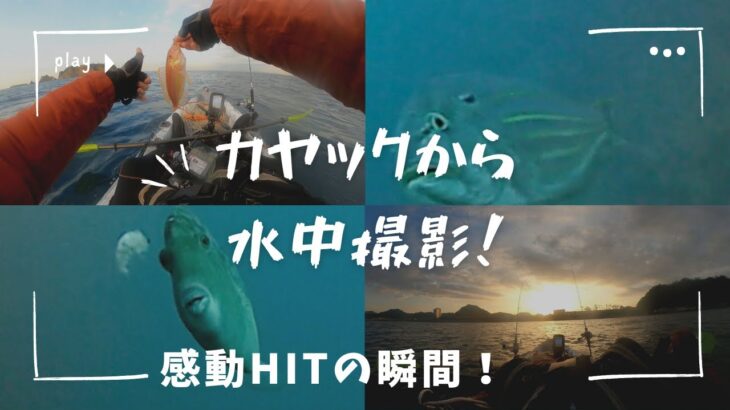 水中撮影×カヤックフィッシング：見逃せない感動、衝撃HITの瞬間！冬でも魚は沢山いた！