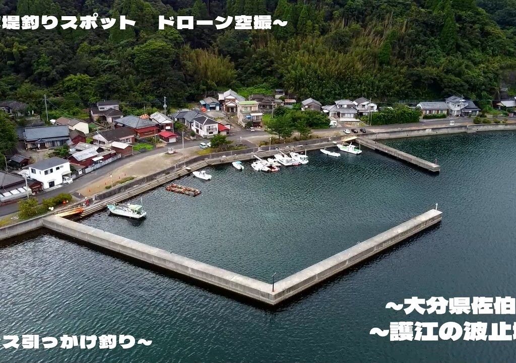 【釣り】護江の波止場 大分県佐伯市_アジング_エギング_青物_フカセ_ドローン空撮_fishing spot