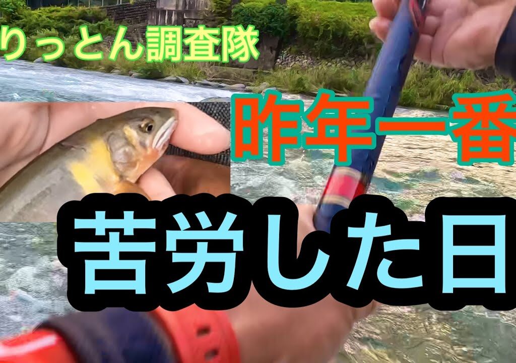 鮎釣り　オトリ継を失敗すると地獄です。