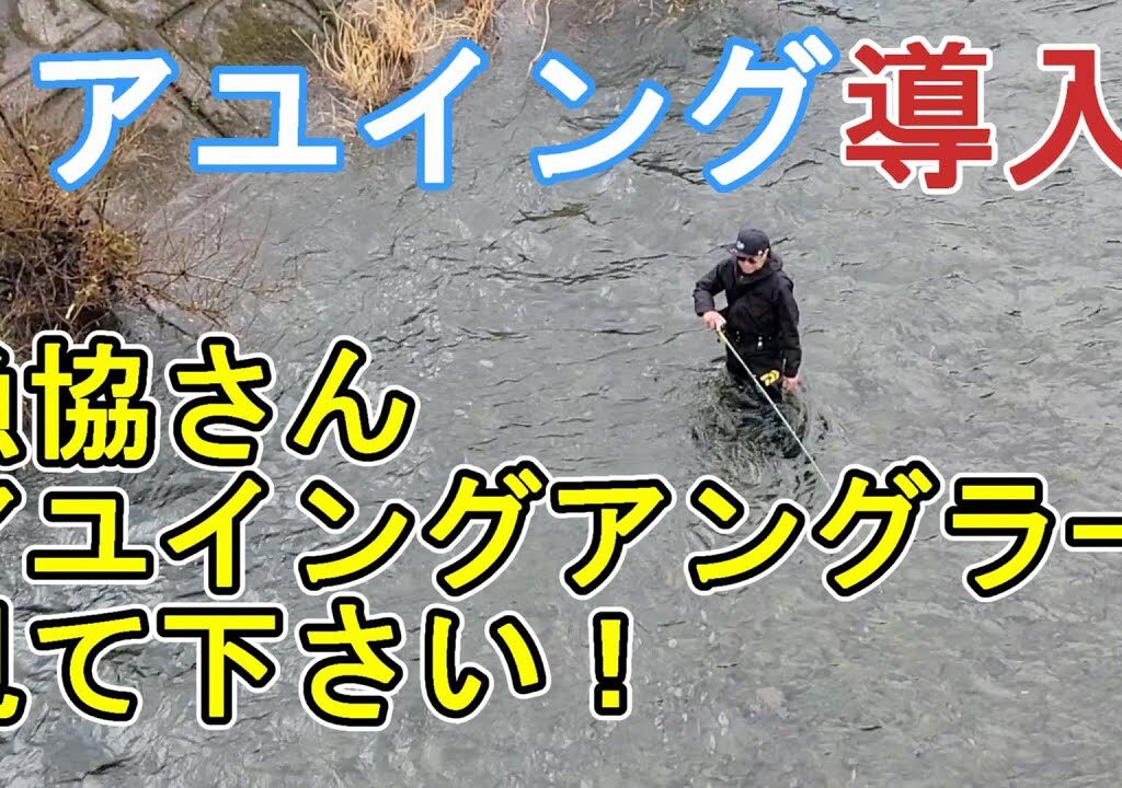 【アユイング導入】漁協さん、そしてアユイングをやられる方、始めようと思ってる方　見て下さい！