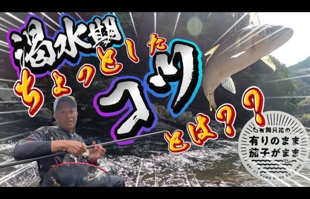 【鮎釣り】ハイプレッシャーな場所を攻略