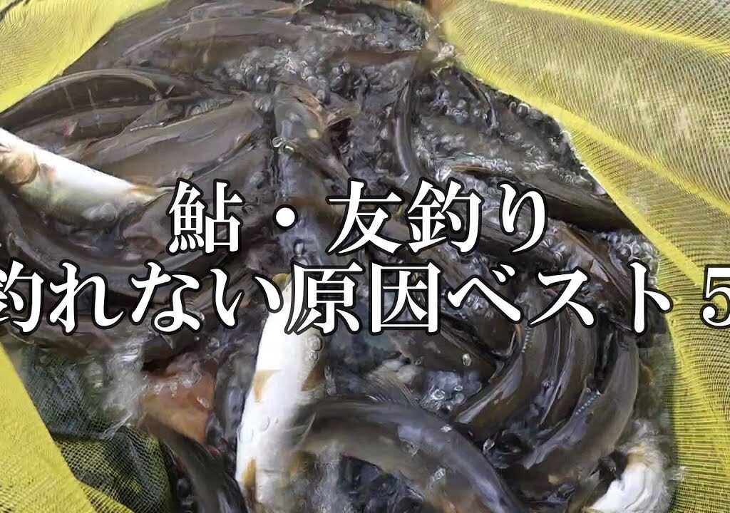 鮎釣り　釣れない原因ベスト５