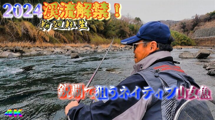 【輪廻転生】2024渓流解禁 鋭覇でヤマメ狙いの本流に入ると凄烈な事が…(群馬県利根川水系)