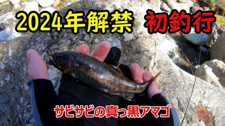 2024年渓流釣り解禁、#遊渓の初釣行