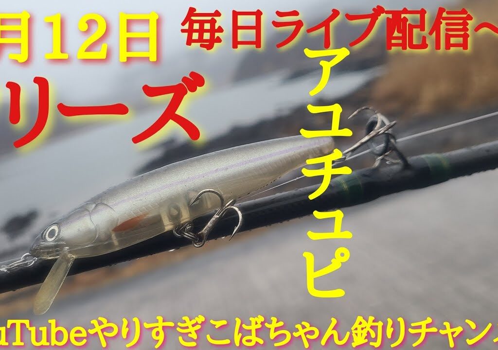 3月12日毎日ライブ配信～‼️ノリーズアユチュピ