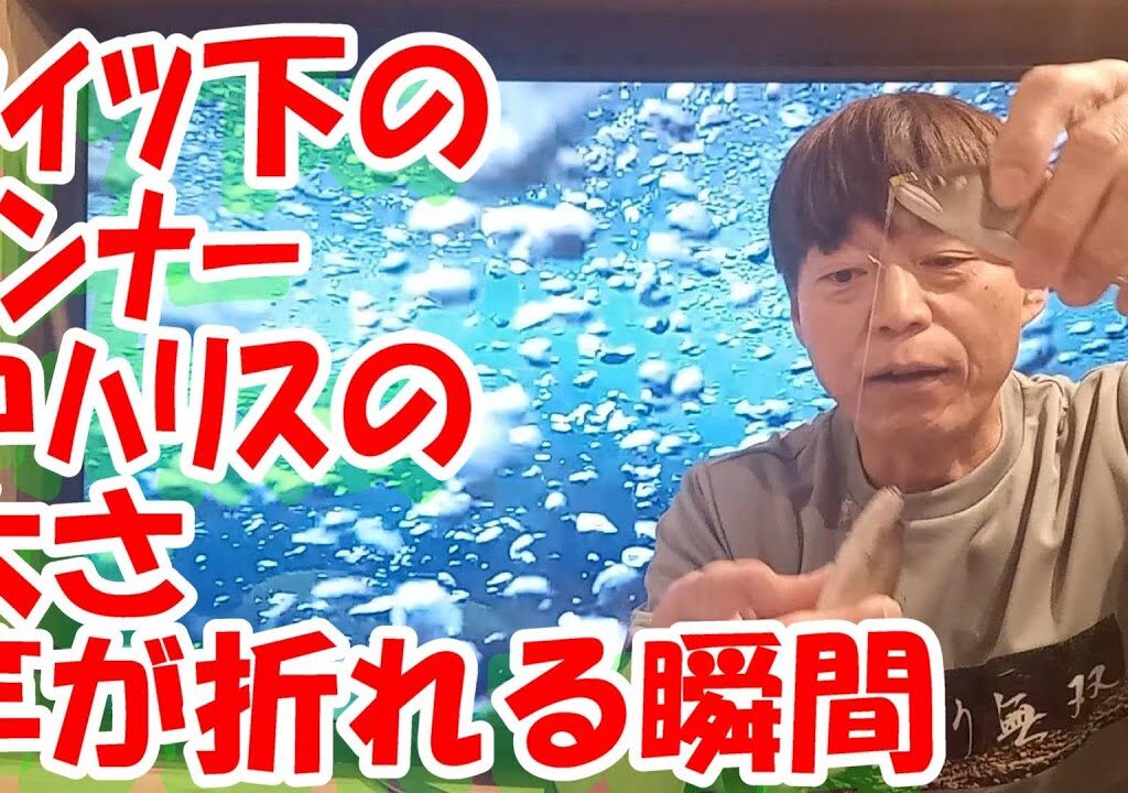 鮎釣り A-48 2024年3月10日 質問はこちらから https://youtu.be/8ZJzYVR2kQk