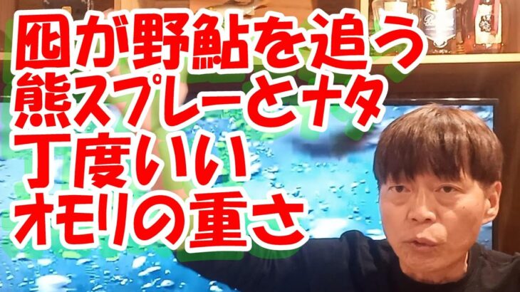 鮎釣り A-53 2024年3月20日 質問はこちらから https://youtu.be/8ZJzYVR2kQk