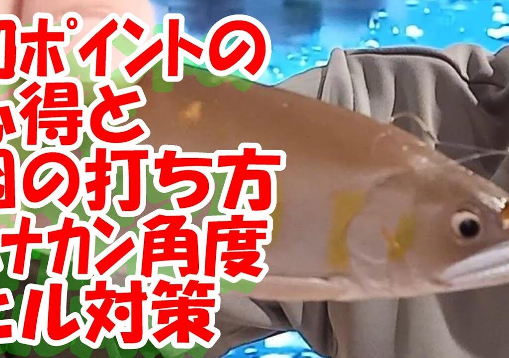鮎釣り A-56 2024年3月26日 質問はこちらから https://youtu.be/8ZJzYVR2kQk