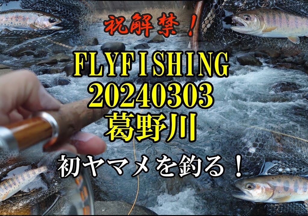 FLYFISHING 20240303 葛野川　祝解禁！【初ヤマメを釣る！】