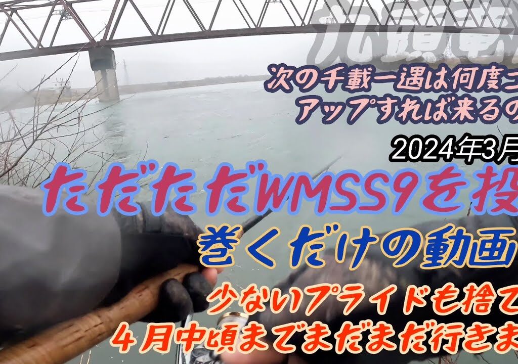 R6.3.1九頭竜川にてただただ延々wmss9を投げ巻くだけの動画④