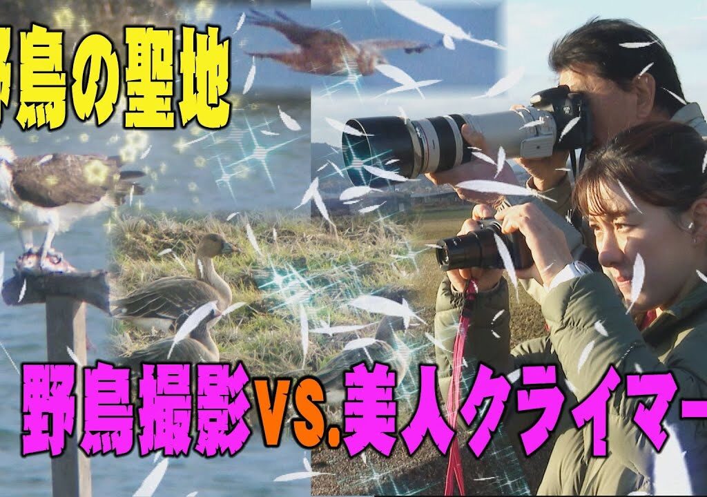 【野鳥撮影】野鳥の聖地　「野鳥撮影VS.美人クライマー」