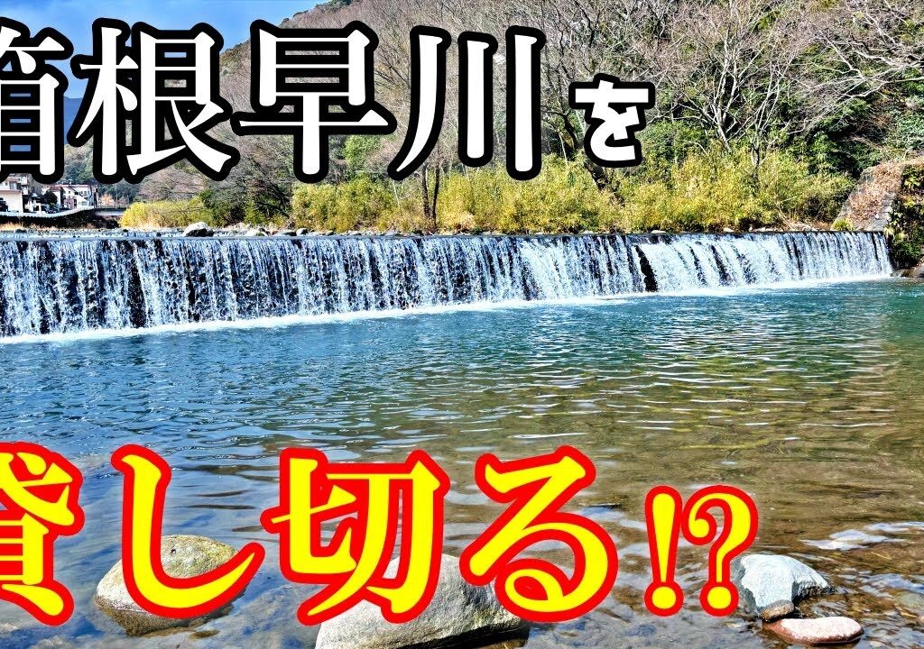 箱根早川、特別採捕最終日の翌日、川を貸し切りで渓流釣り！