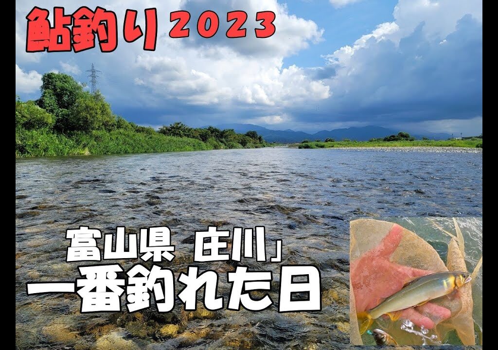 鮎釣り 令和５年８月下旬 富山県 庄川 シーズンで一番釣れた日# 富山県庄川#庄川#鮎釣り