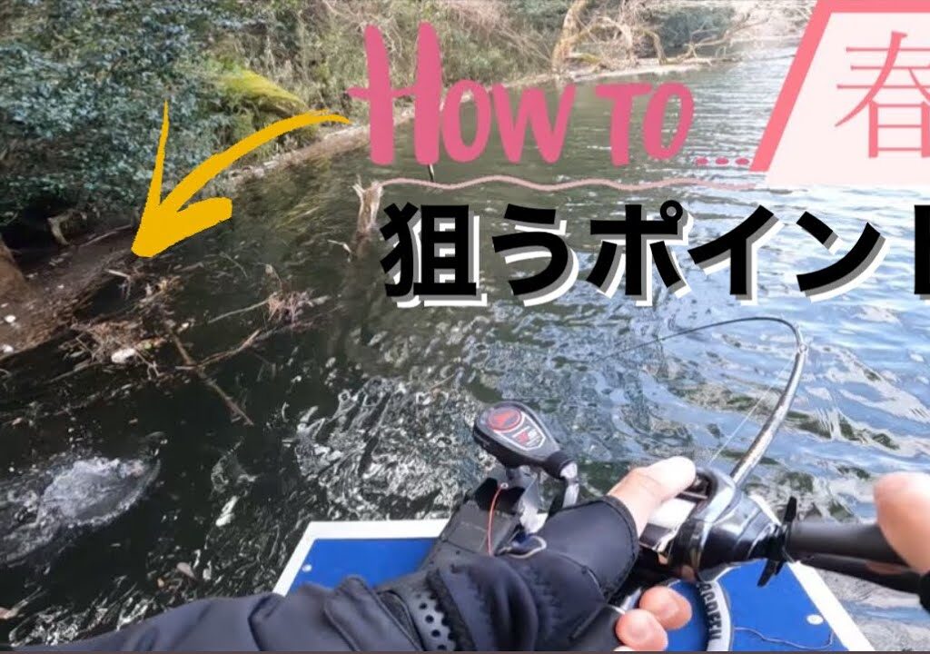 【バス釣り】春バスを釣る為のワンポイントアドバイス！！