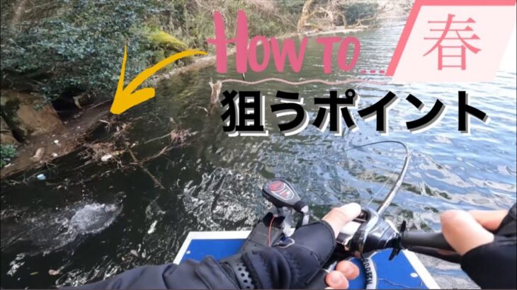 【バス釣り】春バスを釣る為のワンポイントアドバイス！！